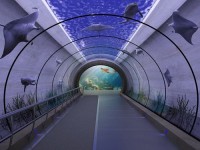 Projet pour un aquarium géant à Casablanca (Maroc) - Team Creation & Luc Simon